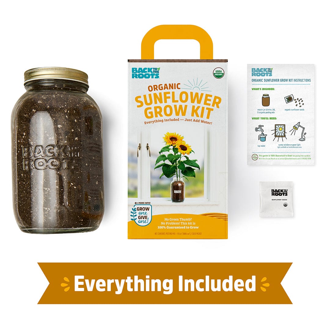 Organic Sunflower Windowsill Grow Kit 🌻