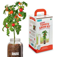 Organic Cherry Tomato Windowsill Planter (Complete Mason Jar Grow Kit) 🍅