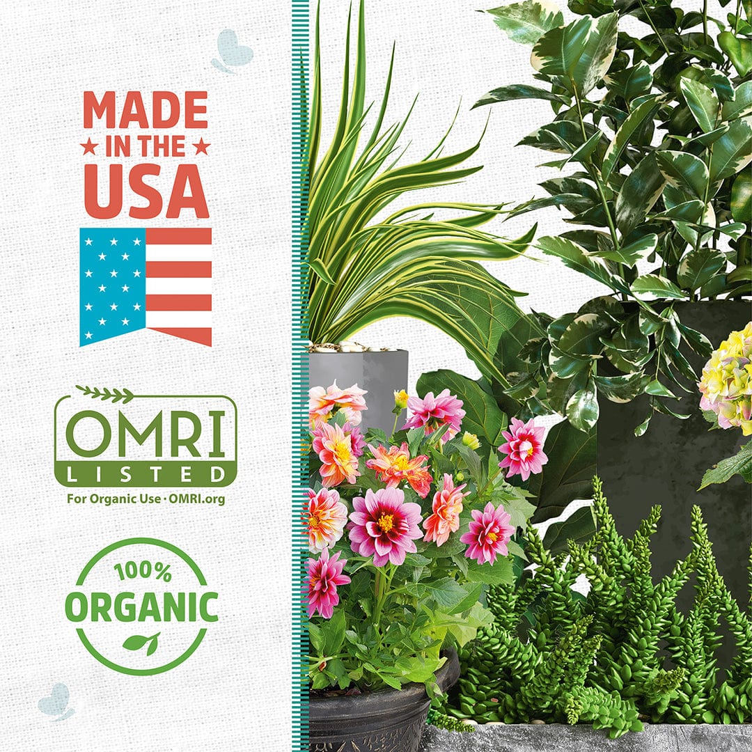 perlite for indoor plants Back to the Roots Organic Perlite for Garden Soil, 8 qt