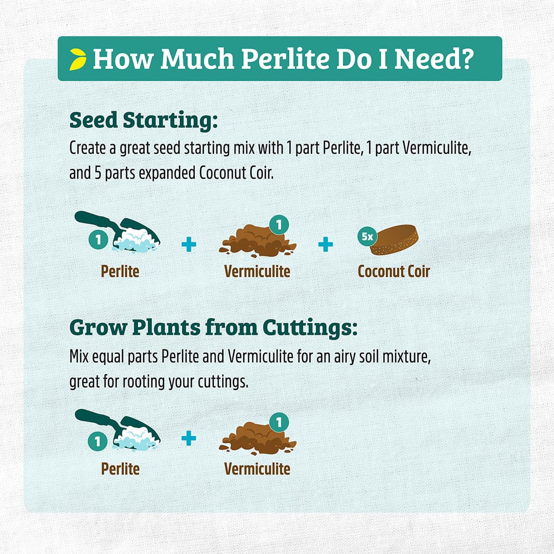 should i add perlite to potting mix Organic Perlite