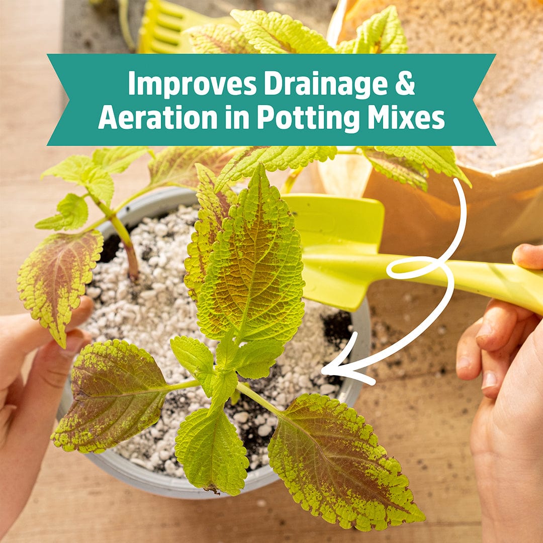 Organic Perlite - Premium Horticultural Grade (8 Quart) – Back to