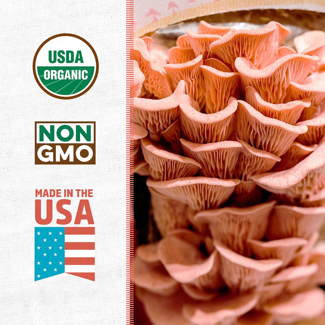 Close-up of layered pink oyster mushrooms with gills visible, next to USDA Organic, Non-GMO, and Made in USA badges. - Organic Pink Mushroom Grow Kit - Default Title - Back to the Roots