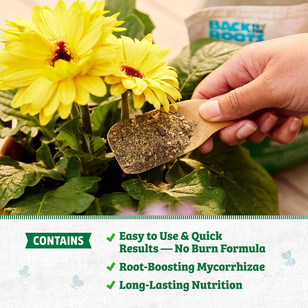 A hand sprinkles Back to the Roots Natural & Organic ALL-PURPOSE Plant Food onto soil near yellow flowers, with its package in the background. Text highlights the plant food’s sustainable, all-purpose benefits.