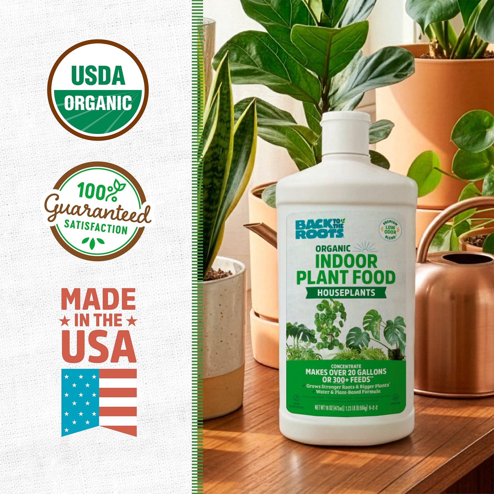 Back to the Roots Organic Indoor Houseplant Plant Food is displayed on a table with houseplants and a copper watering can, emphasizing its natural formula and certifications.