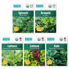 Five organic seed packets featuring Spinach Bloomsdale, Arugula Roquette, Green Leaf Sliced Simpson Lettuce, Gourmet Blend. - Leafy Greens Seeds 5-Pack Organic Seed Bundle - Default Title - Back to the Roots