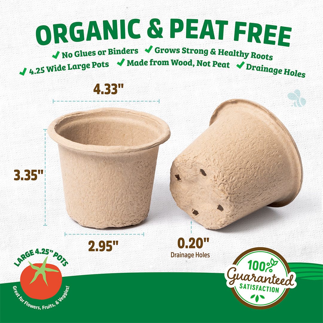 where to get free plant pots Back to the Roots Organic & Plantable 4.25" Wide Seed Starting Pots (8 ct)
