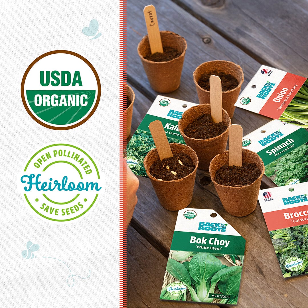 Four small peat pots with soil and wooden plant markers arranged on a wooden cutting board next to seed packets of kale, bok . - Winter Veggies Organic Seed Bundle - Default Title - Back to the Roots