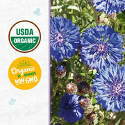 Organic Bachelor Buttons Seeds — 'Jubilee'