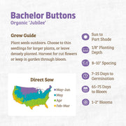 Organic Bachelor Buttons Seeds — 'Jubilee'