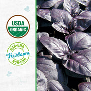 Organic Basil Seeds — 'Red Rubin'