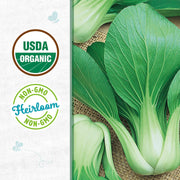 Organic Bok Choy Seeds — 'White Stem'