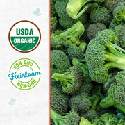 Organic Broccoli Seeds — 'Calabrese'