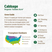 Organic Cabbage Seeds — 'Golden Acre'