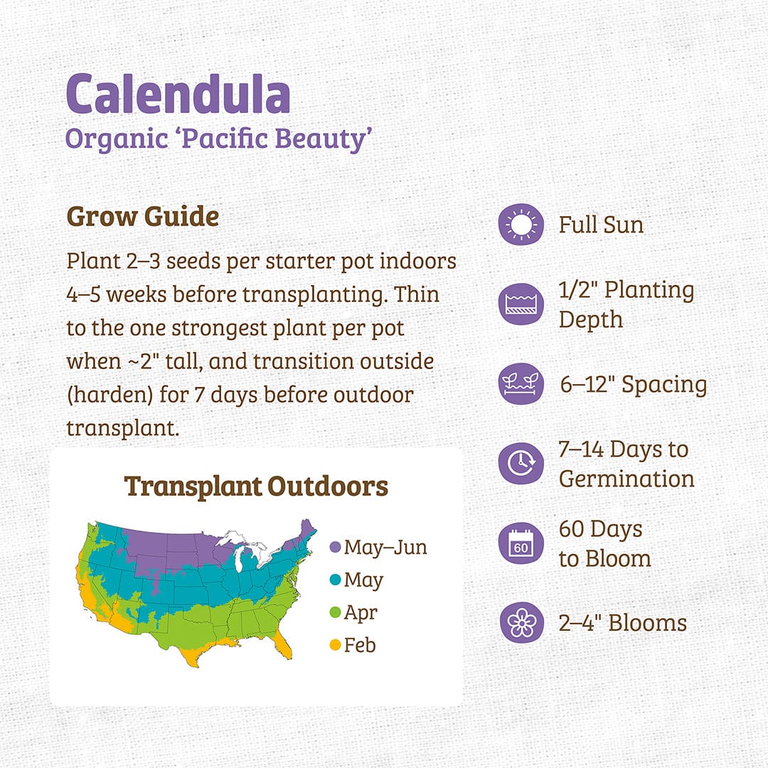 Organic Calendula Seeds — 'Pacific Beauty'