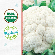 Organic Cauliflower Seeds — 'Snowball Y'