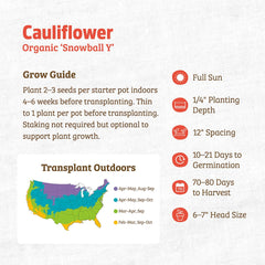 Organic Cauliflower Seeds — 'Snowball Y'