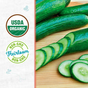 Organic Cucumber Seeds — 'Slicing • Muncher'