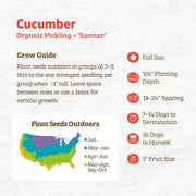 Organic Cucumber Seeds — 'Pickling • Sumter'