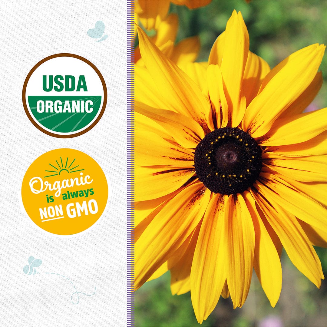 Organic Daisy Seeds — 'Rudbeckia Gloriosa Double'