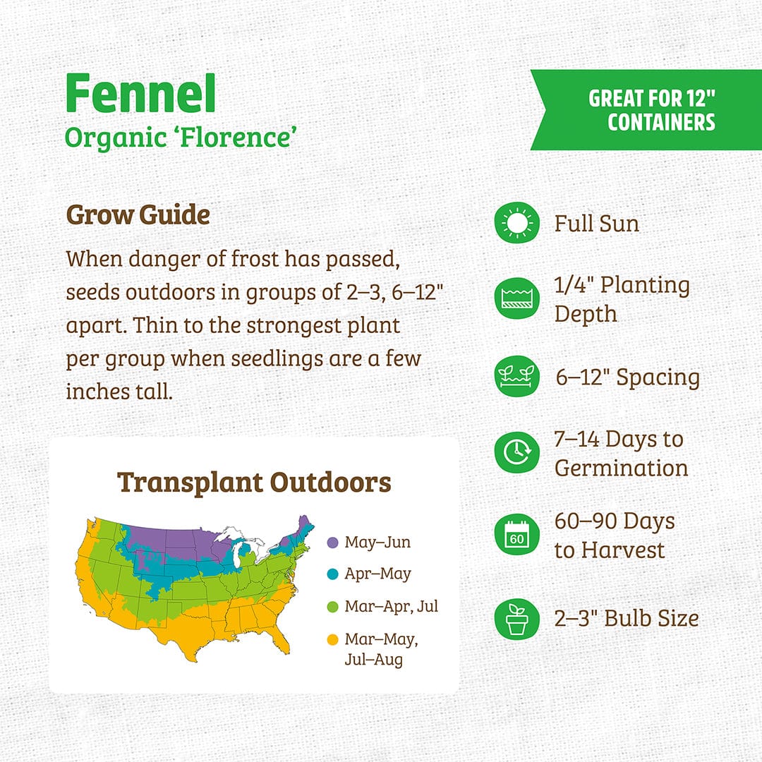 organic fennel seeds for planting Back to the Roots Seed packet