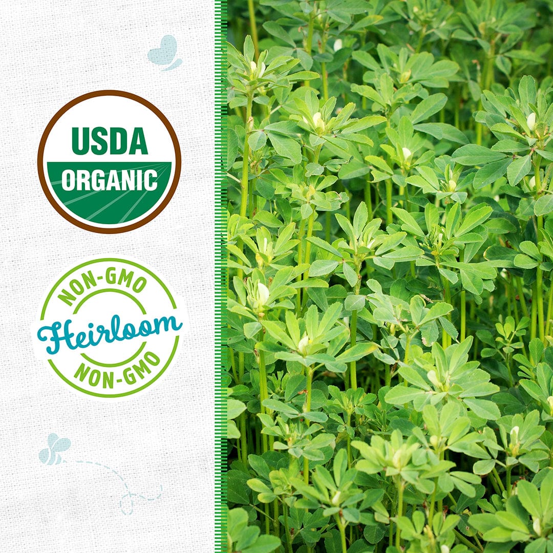 fenugreek seed for planting Back to the Roots Organic Fenugreek, 1 Seed packet