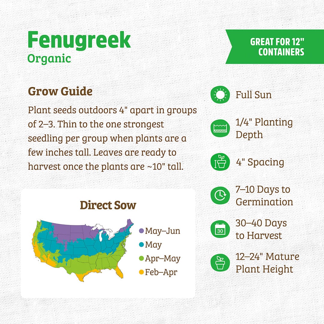 fenugreek seeds for garden Back to the Roots Organic Fenugreek, 1 Seed packet