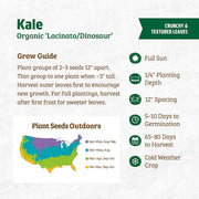 Organic Kale Seeds — 'Lacinato/Dinosuar'