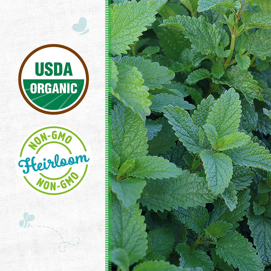 Organic Lemon Balm Seeds