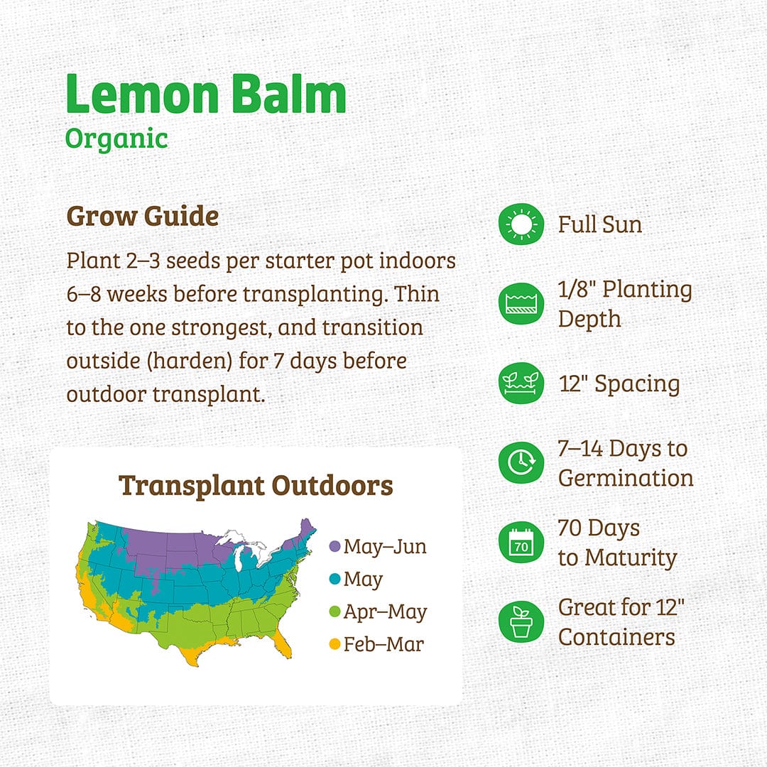 Organic Lemon Balm Seeds