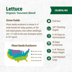 Organic Lettuce Seeds — 'Gourmet Blend'