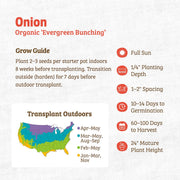 Organic Onion Seeds — 'Evergreen Bunching'