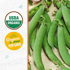 Organic Pea Seeds — 'Snap Sugar Daddy'