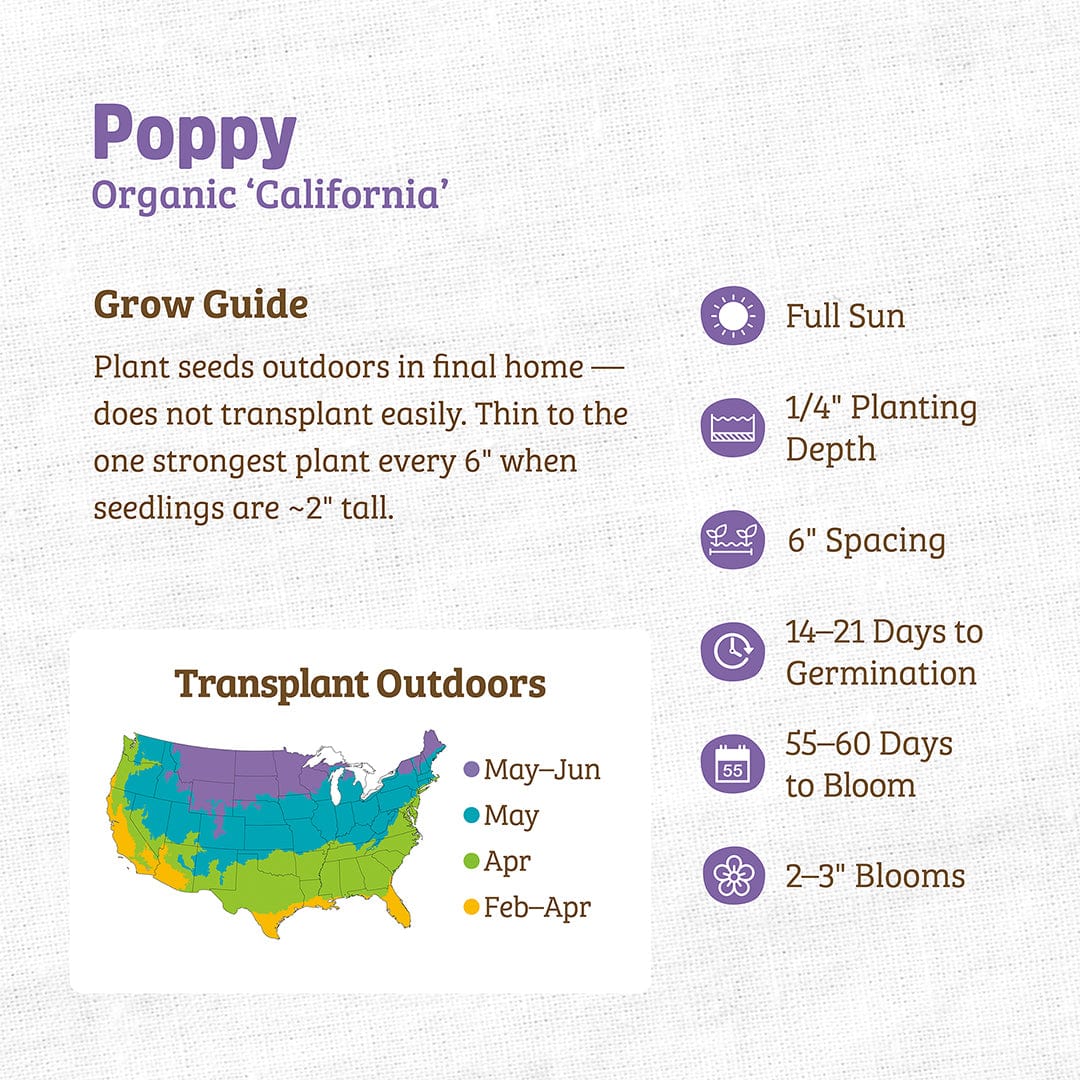 Organic Poppy Seeds — 'California'