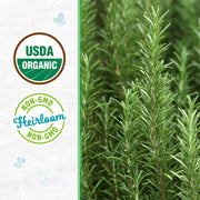 Organic Rosemary Seeds