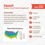 Organic Squash Seeds — 'Early Prolific Straightneck'