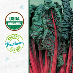 Organic Swiss Chard Seeds — 'Ruby Red'