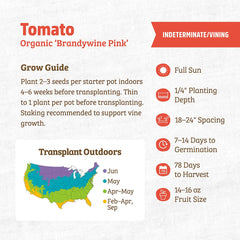 Organic Tomato Seeds — 'Brandywine Pink'