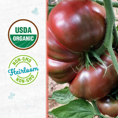 Organic Tomato Seeds — 'Cherokee Purple'