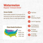 Organic Watermelon Seeds — 'Crimson Sweet'