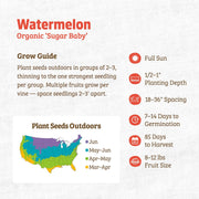 Organic Watermelon Seeds — 'Sugar Baby'