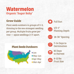 Organic Watermelon Seeds — 'Sugar Baby'