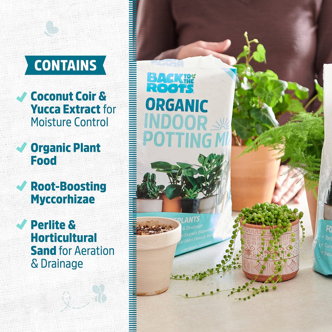 can i use outdoor potting mix for indoor plants Organic Indoor Potting Mix Specialty Blend (6 QT) – Back to the Roots