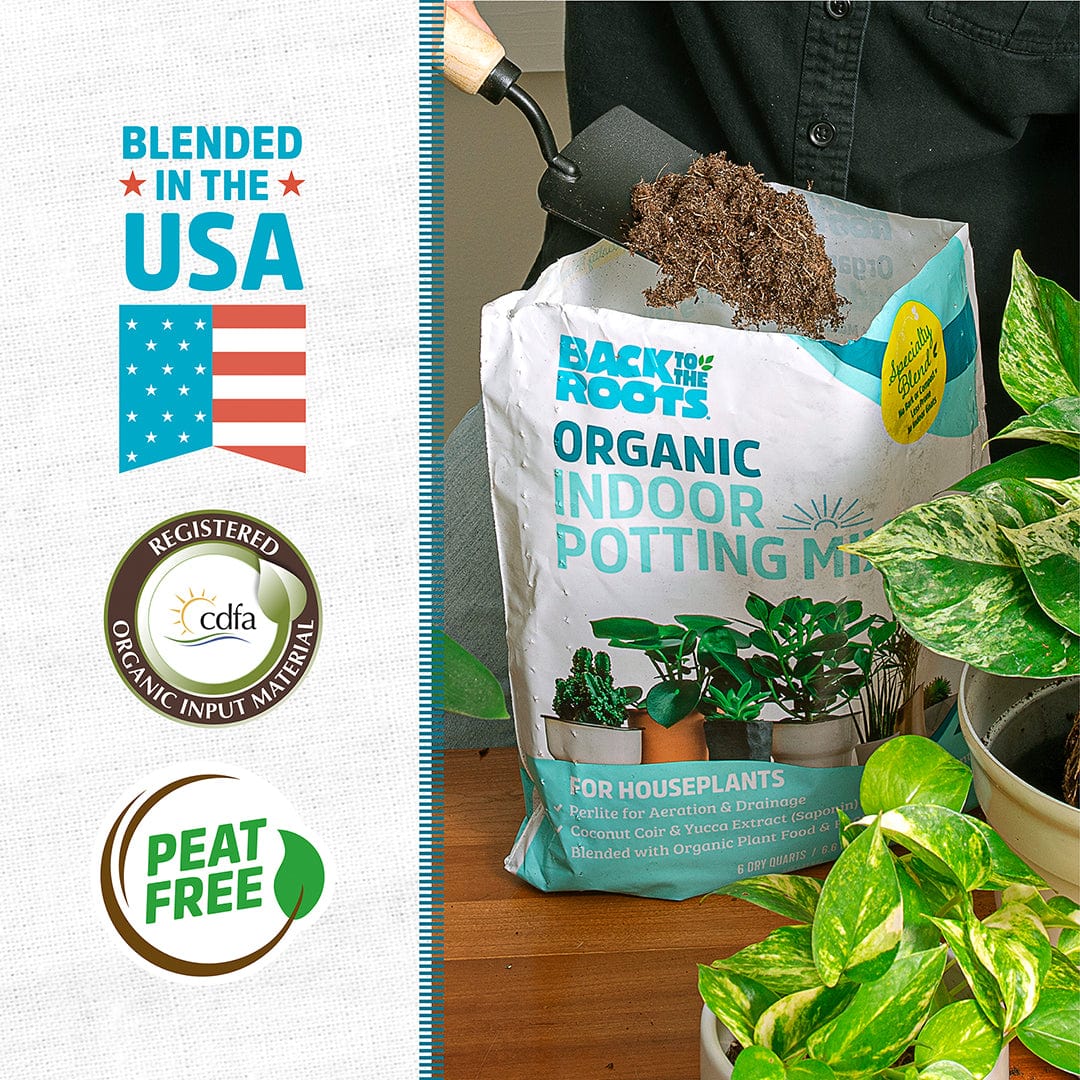 can potting mix be used for indoor plants Organic Indoor Potting Mix Specialty Blend (6 QT)