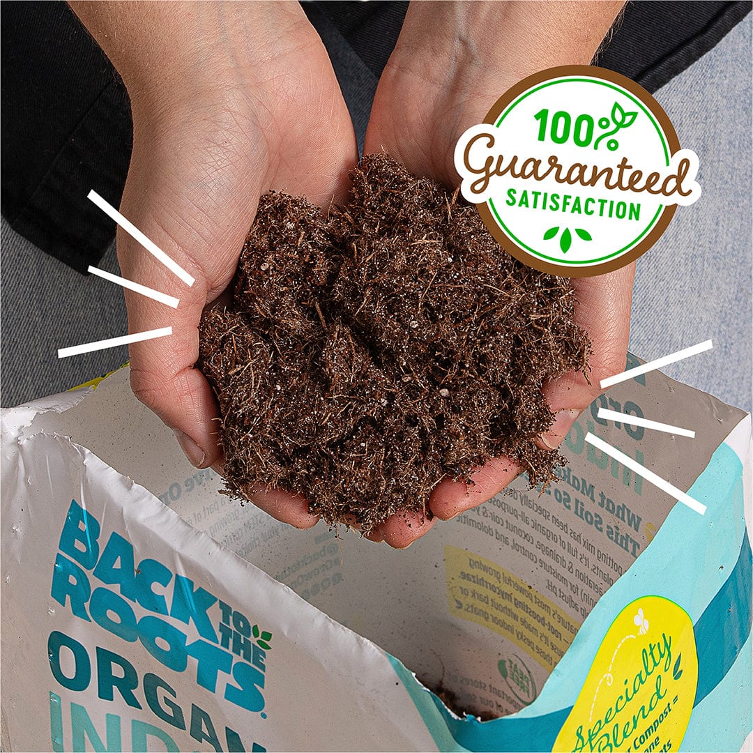 indoor potting mix recipe Organic Indoor Potting Mix Specialty Blend (6 QT)