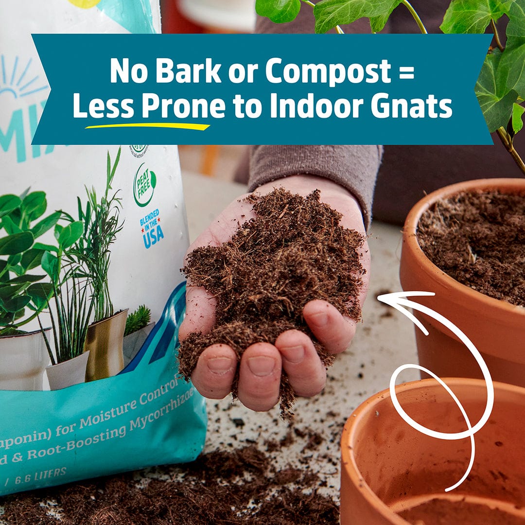 indoor potting mix vs moisture control Back to the Roots Organic Indoor Potting Mix Specialty Blend (6 QT)