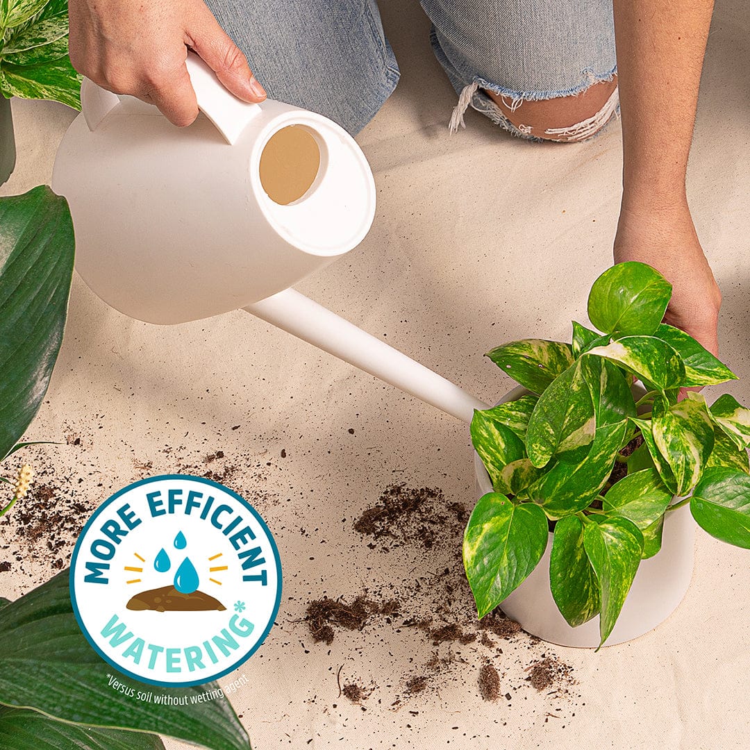 back to the roots indoor potting mix Back to the Roots Organic Indoor Potting Mix Specialty Blend (6 QT)