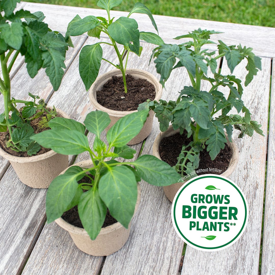soil mix for planting seeds Back to the Roots Organic Seed Starting Mix 6 QT, Brown, Medium