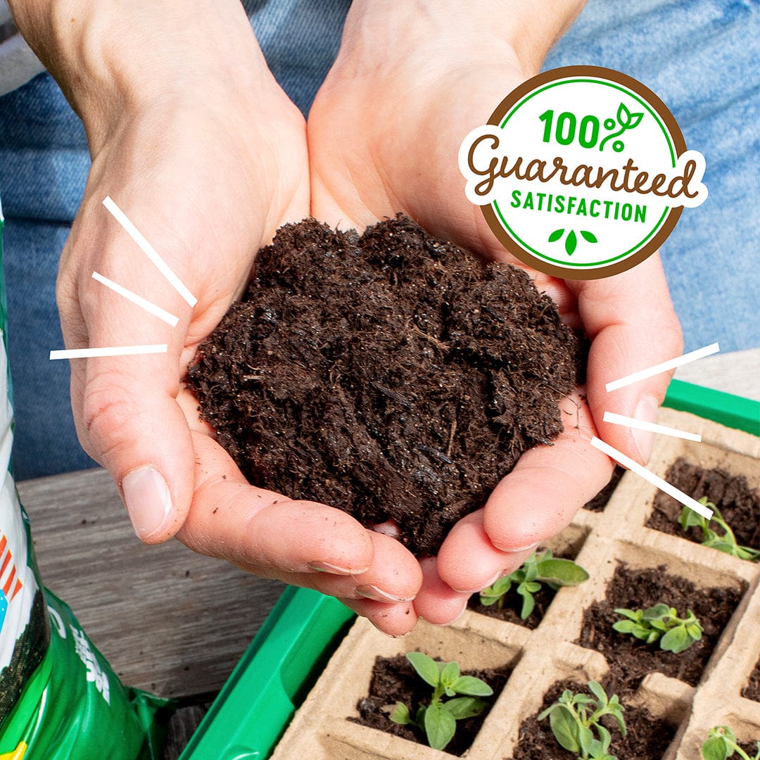 organic seed starter potting mix Back to the Roots Organic Seed Starting Mix 6 QT, Brown, Medium