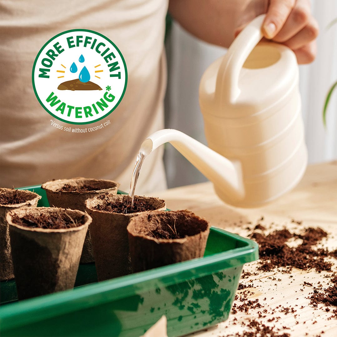 should i water the soil before planting seeds Organic Seed Starting Mix Specialty Blend (6 QT) – Back to the Roots