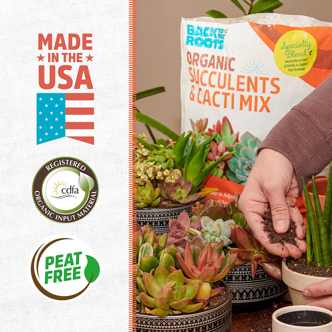 best soil mix for cactus and succulents 6 qt. Organic Succulent and Cacti Mix Soil (1-Pack)